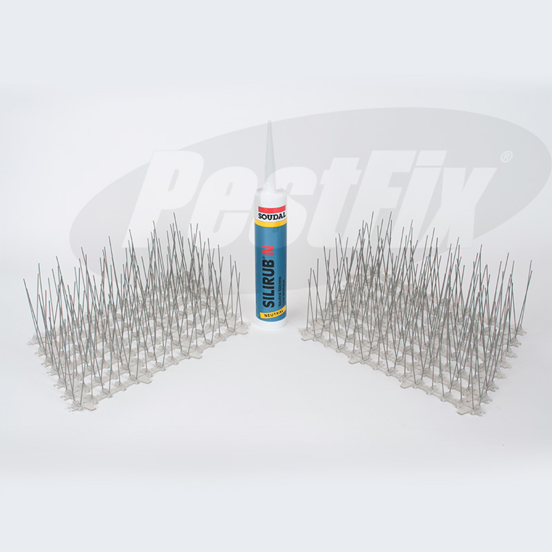 Bird Spikes Pigeon Spikes Supplied in 5 Metre Kits with FREE Adhesive
